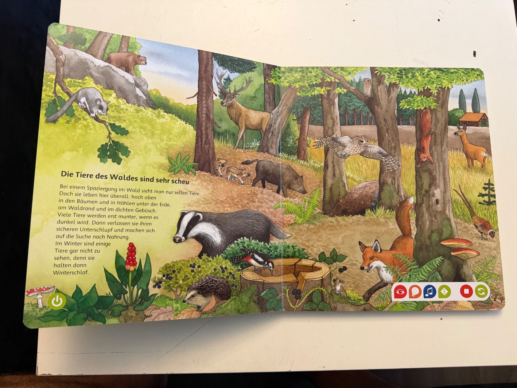 Tiptoi Spiele: Tiptoi Buch Bilderlexikon Tiere – Gebraucht aus Münsingen von Ganjam 3