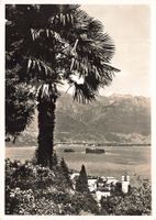 Brissago formato grande
