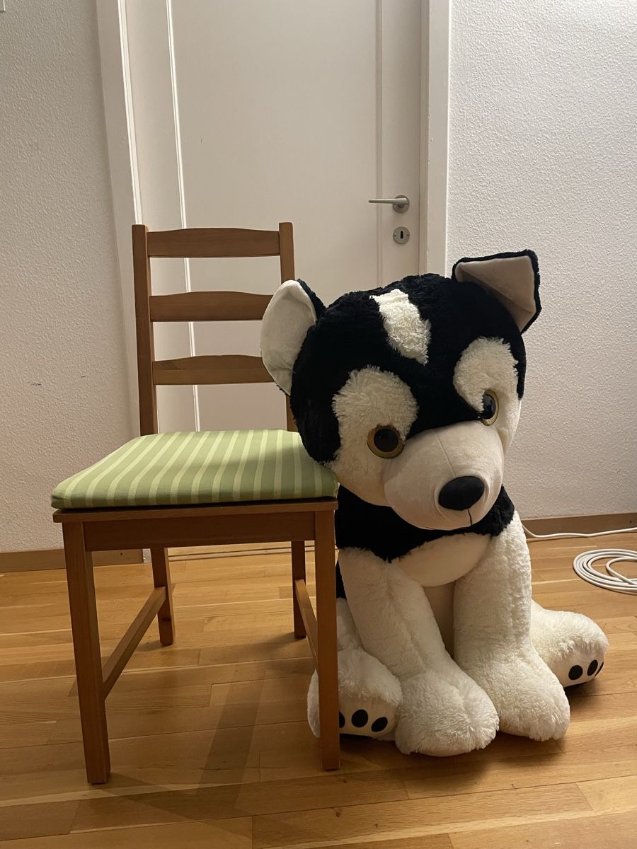Giocattoli: Big Dog Plushy, plush, Husky – Usato da Zürich venduto da sezamki 1