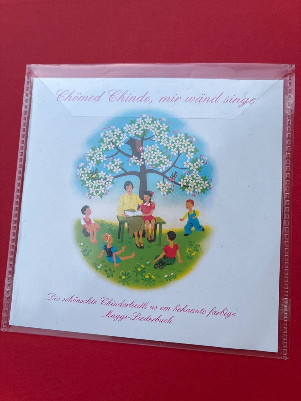 Libri: BUCH-Kinderliederbuch mit CD "Chömed Chinde, mir wänd singe" – Usato da Guntershausen venduto da Gloominati 1