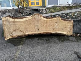 XXL - Tischplatte aus einem Stück - massive Baumscheibe