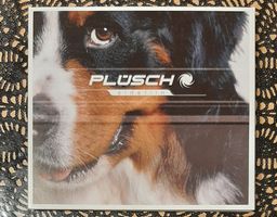 Plüsch - Sidefiin, CH Mundart Pop CD Album 2004