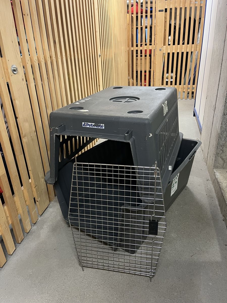 Liege- & Schlafplätze: Hunde Box gross – Gebraucht aus Küsnacht ZH von CatiaA 1