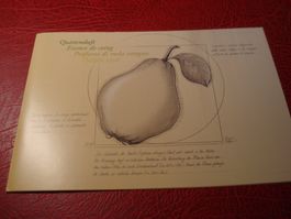 Folder Block Quitten mit Duft, 2017