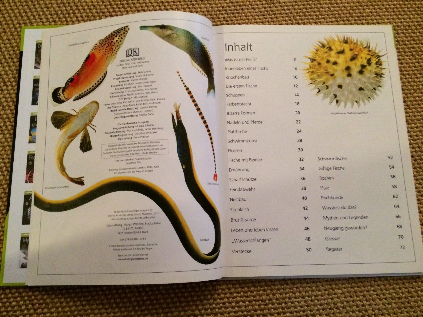 Bücher: Memo Wissen entdecken. FISCHE – Gebraucht aus Buchs AG von ReaNaTsch 2