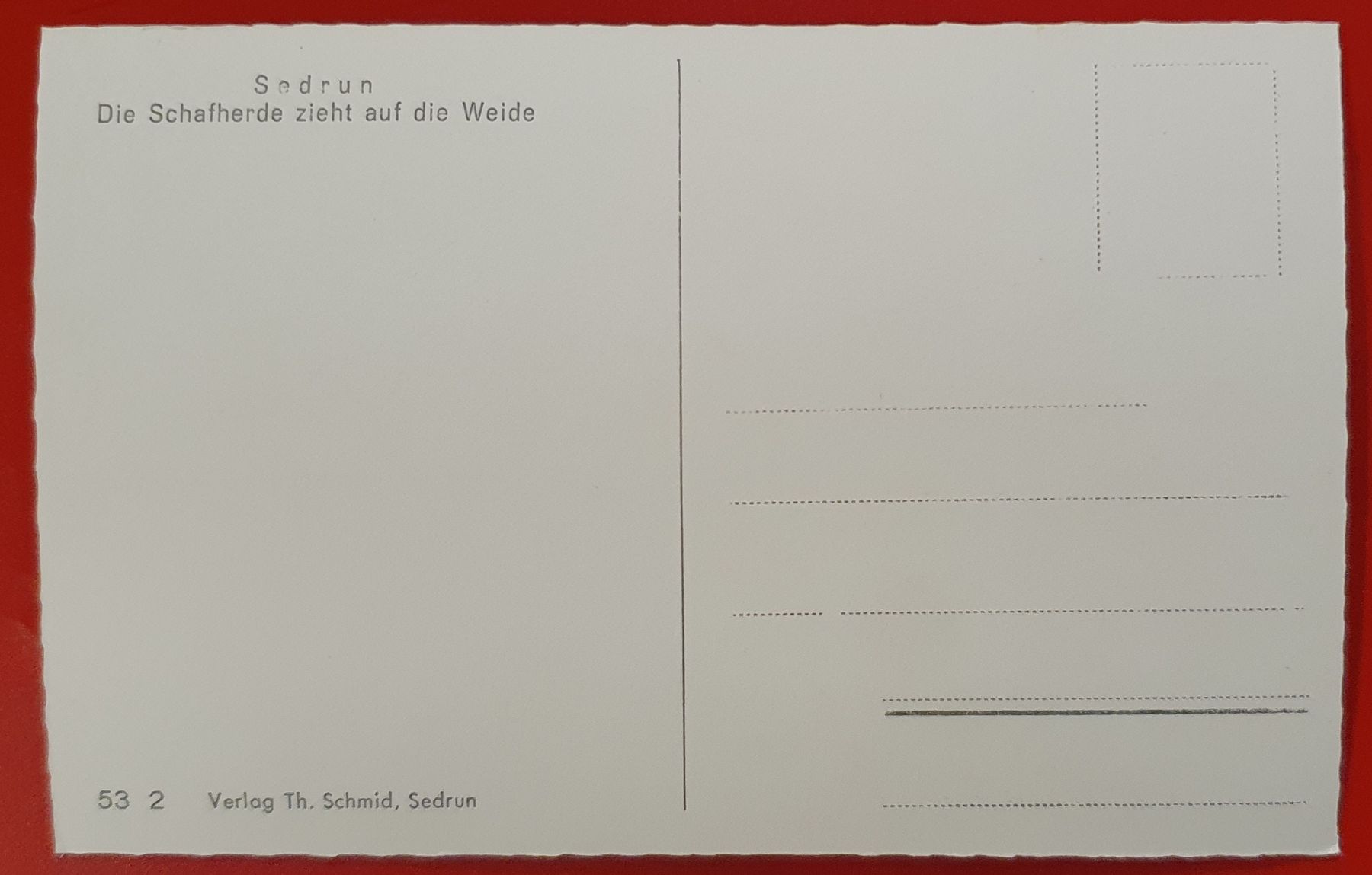 Cartoline postali: Sedrun, Schafherde zieht auf die Weide – Usato da Kreuzlingen venduto da Rschweiz1 1