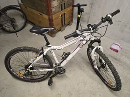 MTB Pulse 26 Zoll Alu Rahmen 42cm 24 Gang Shimano Acera