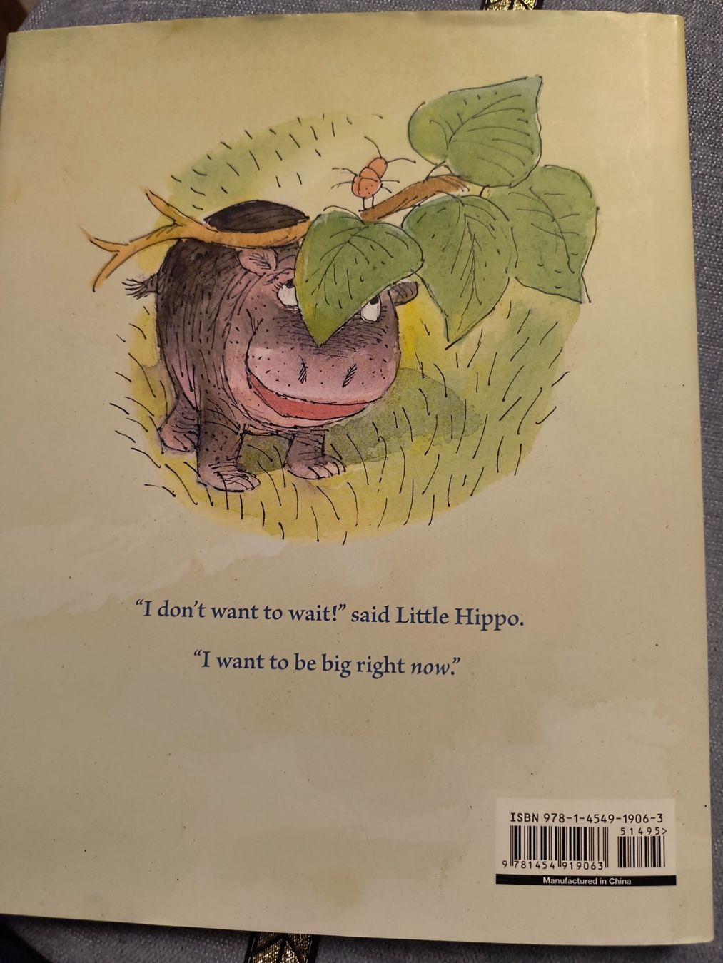 Libri: BIG LITTLE HIPPO Kinderbuch englischer Sprache – Usato da Schöfflisdorf venduto da kin_2dp9 5