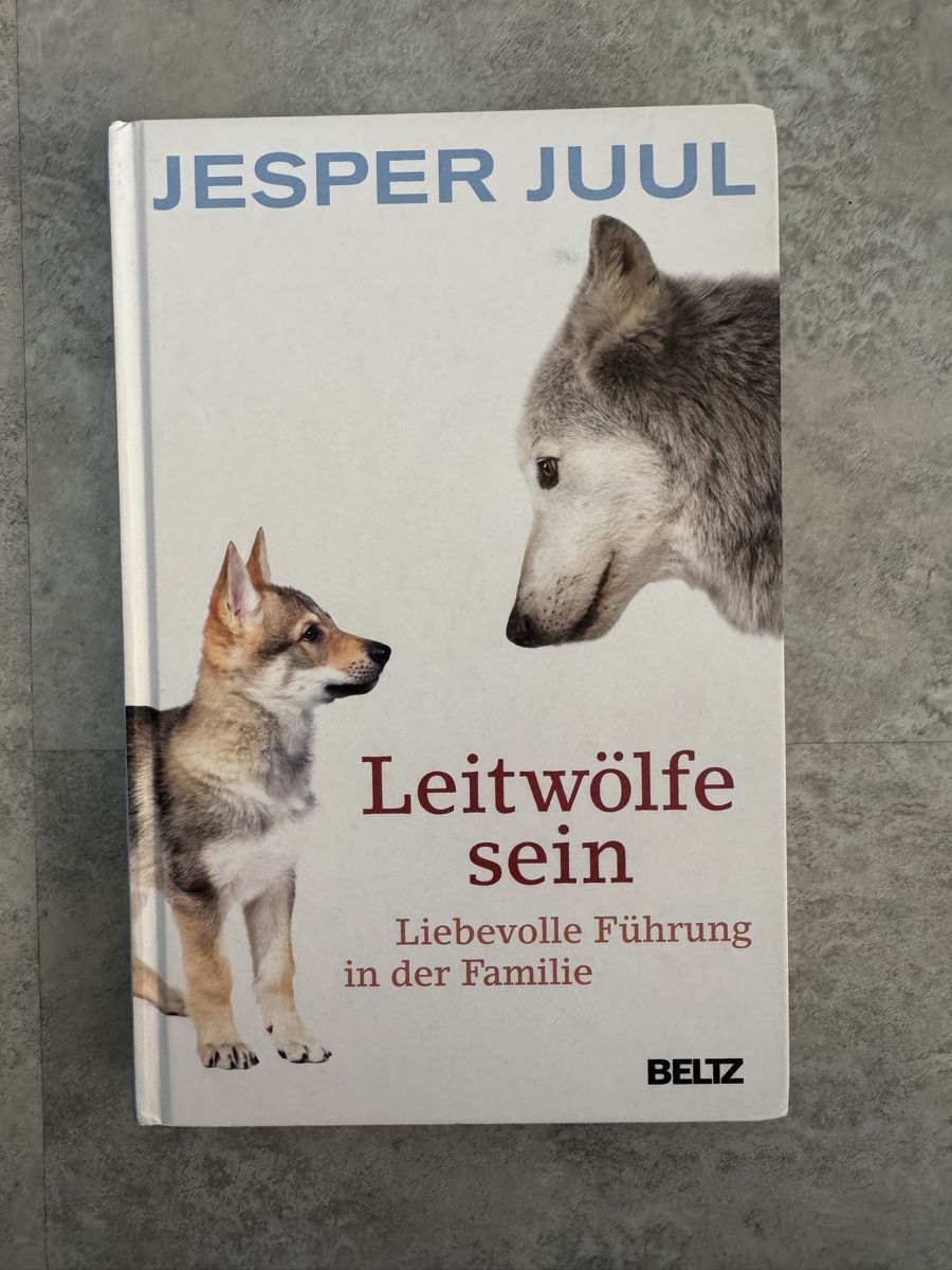 Libri: Leitwölfe sein - Jesper Juul – Usato da Oberbuchsiten venduto da enz_rqh5