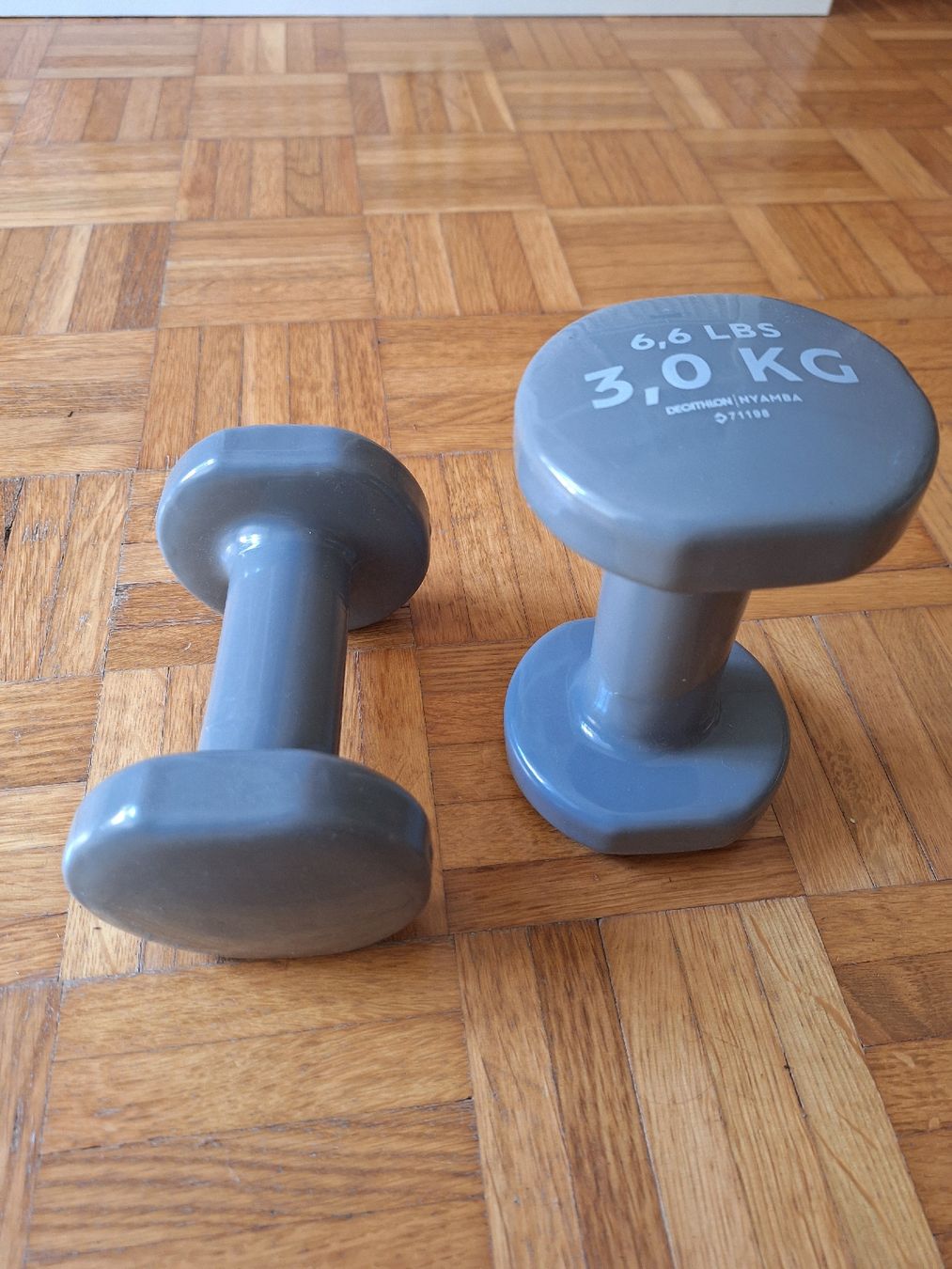 Decathlon Hanteln & Gewichte: Hantelset 3 kg von Decathlon – Gebraucht aus Bern von aiiinaddd 1
