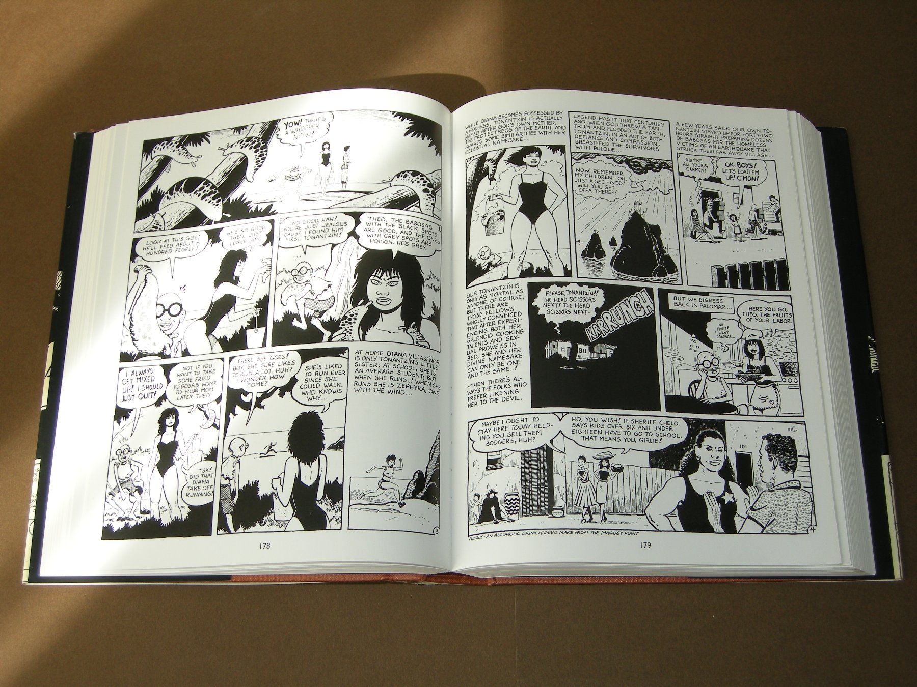Fumetti: Palomar by Gilbert Hernandez #Heartbreak Soup #Alan Moore – Usato da Aarau venduto da Pearlz 6