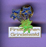 Firstbahnen Grindelwald