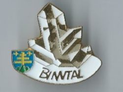 Placchette & Badge: Binntal - Pin – Usato da Zürich venduto da t24_de
