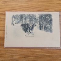 Postkarte Schlittenpost