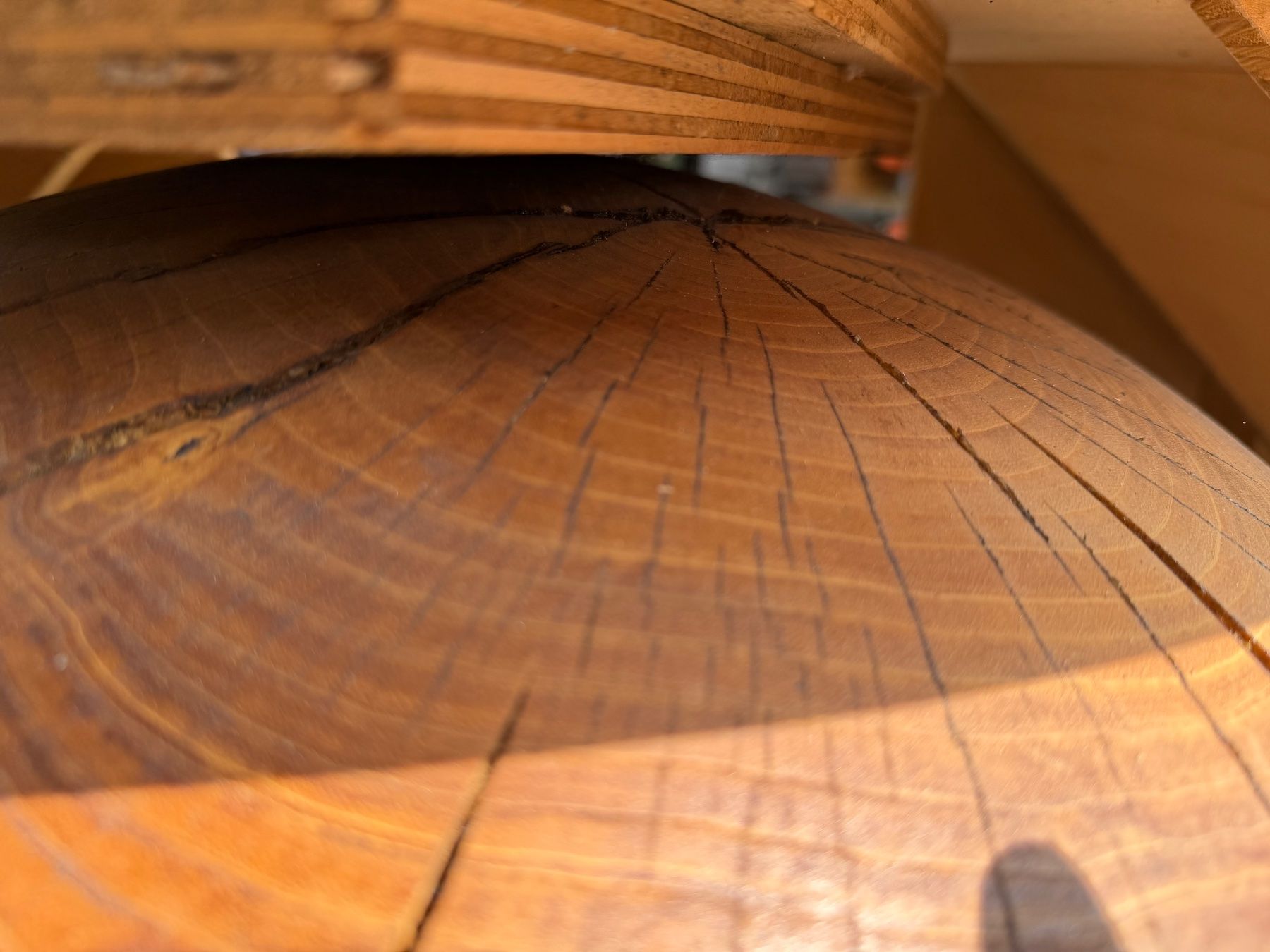 Articoli in legno: Holzkugel Esche; 65cm; geölt – Nuovo (secondo la descrizione) da Wildberg venduto da Melramos04 5