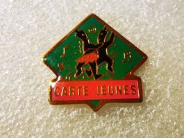 Ansteckpin 140: Carte Jeunes