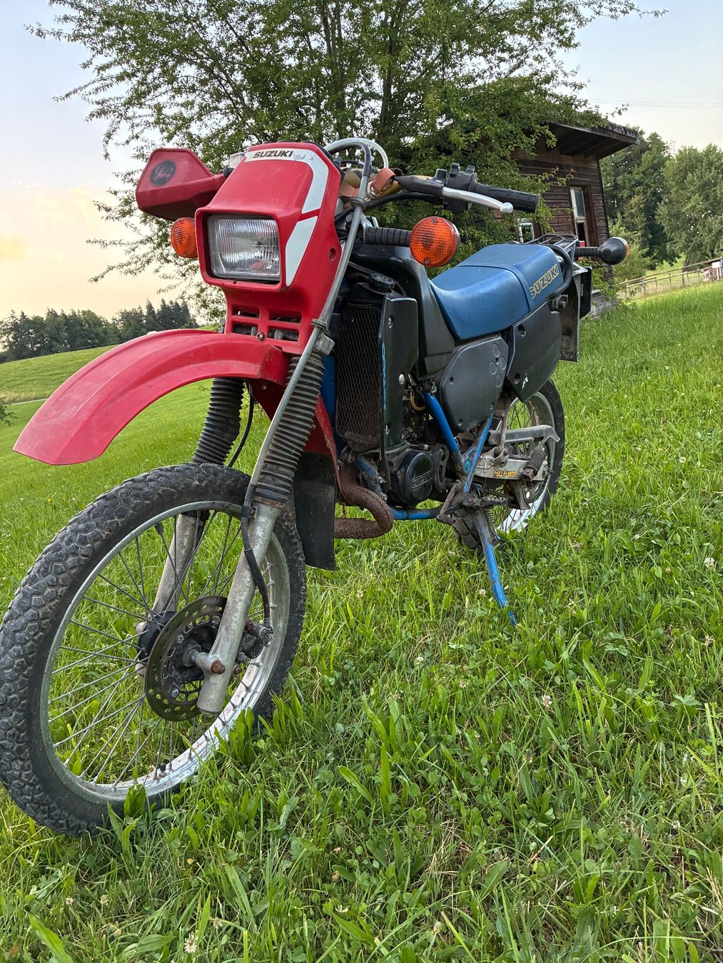 Suzuki Enduro: Suzuki ts 125 x – D'occasion à St. Gallen par MarkoBoss 1