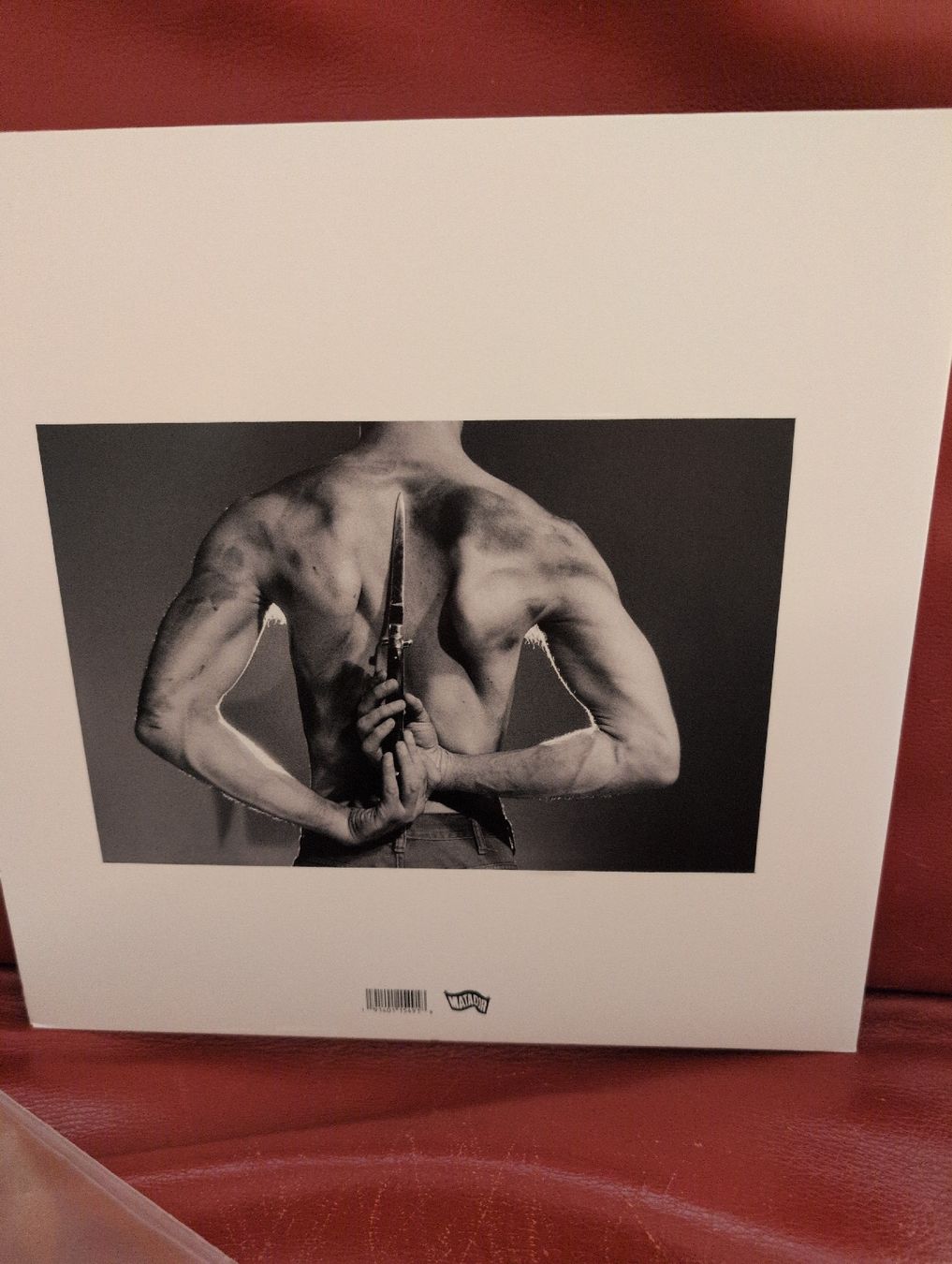 Dischi in vinile: Perfume Genius - Set my Heart on Fire – Nuovo (secondo la descrizione) da Bern venduto da rabbit01 1