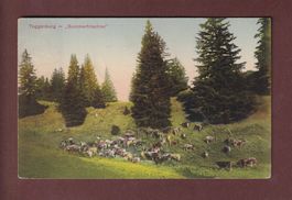 TOGGENBURG - Sommerfrischler - 1912