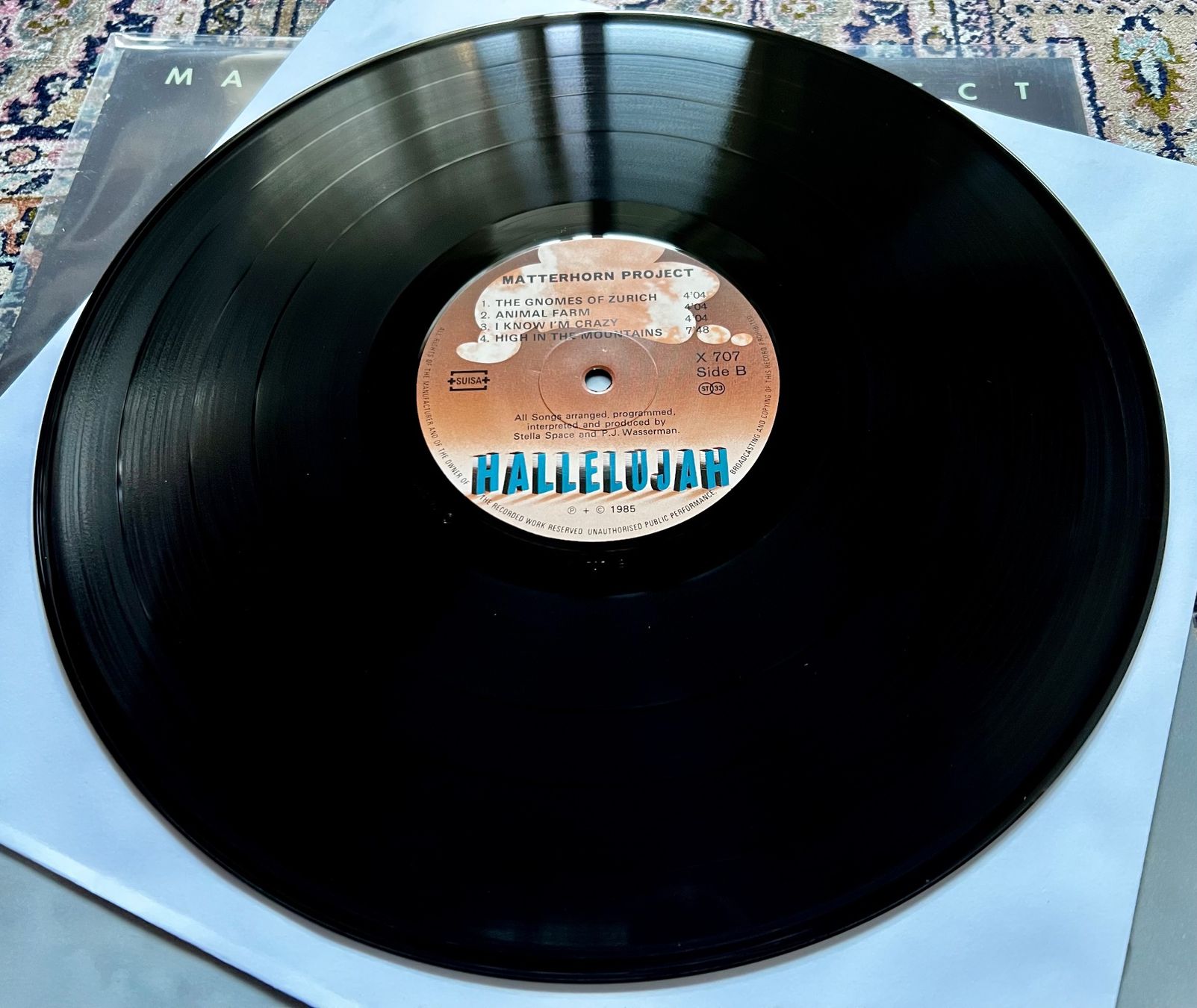 Dischi in vinile: Matterhorn Project LP GEWASCHEN Swiss Synth-pop TOP – Usato da Unterseen venduto da vinylmore 1