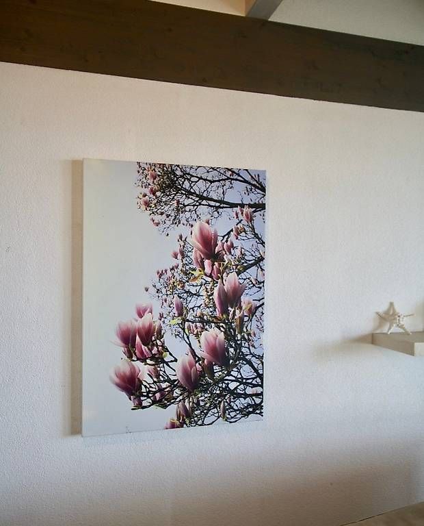 Poster & Bilder: Leinwandbild "Magnolia" Unikat – Gebraucht aus Ganterschwil von Bfishbone
