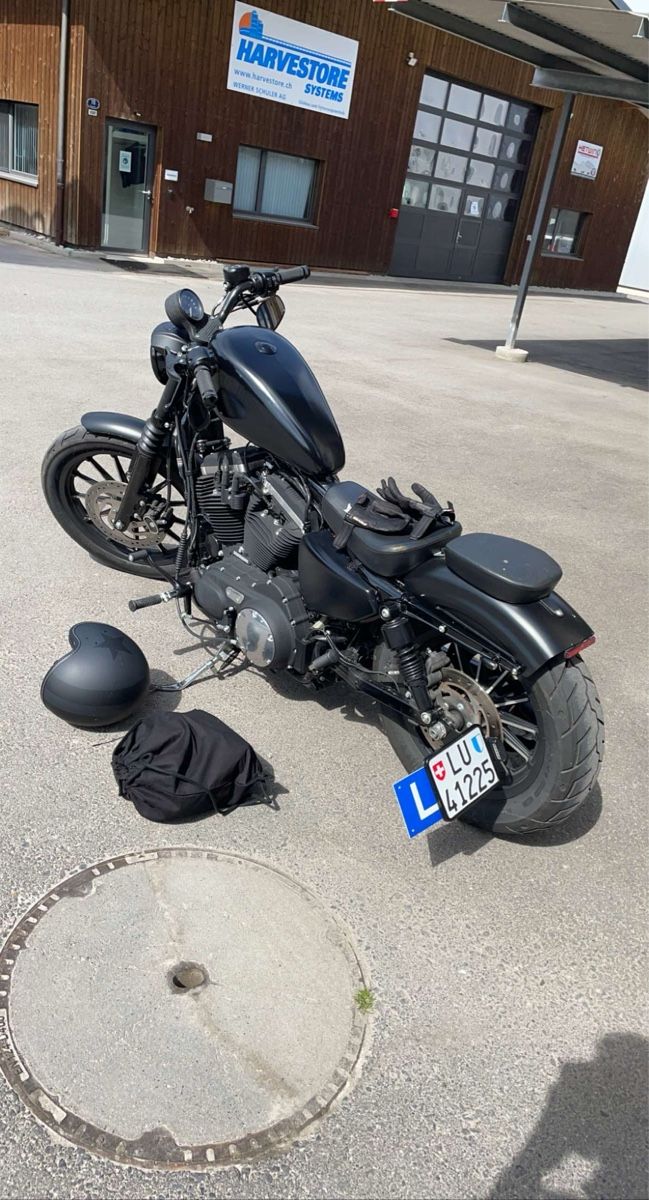 Harley-Davidson Chopper: Harley Davidson Sportster 883 – Usato da Cham venduto da dan_xnt9