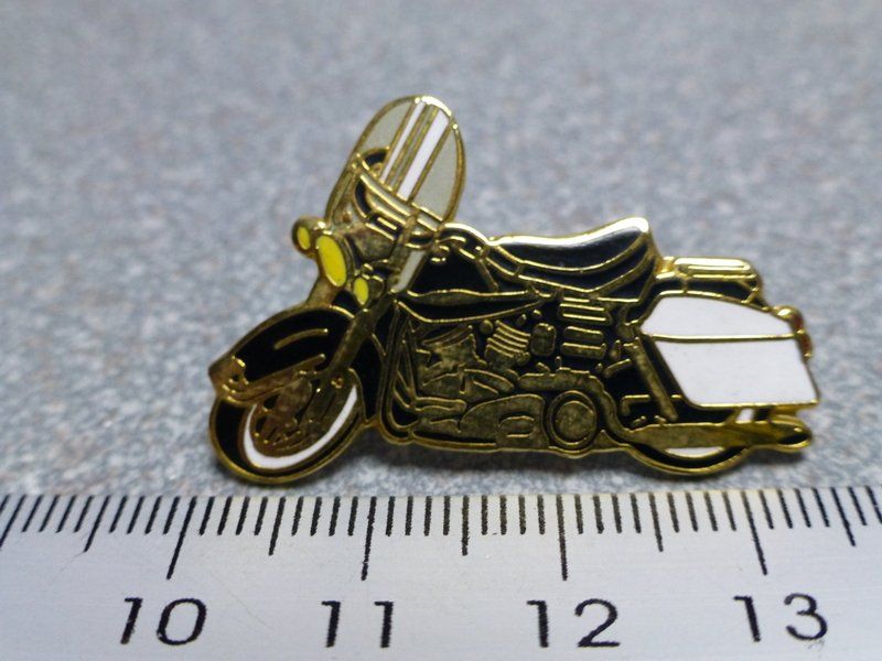 SBB/CFF/FFS Placchette & Badge: PIN PINS HARLEY DAVIDSON HOG ABZEICHEN CHAPTER – Usato da Gränichen venduto da Jumbo77