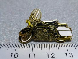 PIN PINS HARLEY DAVIDSON HOG ABZEICHEN CHAPTER