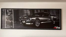 Mustang GT 500 Shelby Elenor Bild
