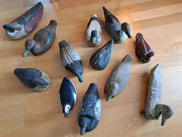 Sammlung 12 antiker amerikanischer Lockenten