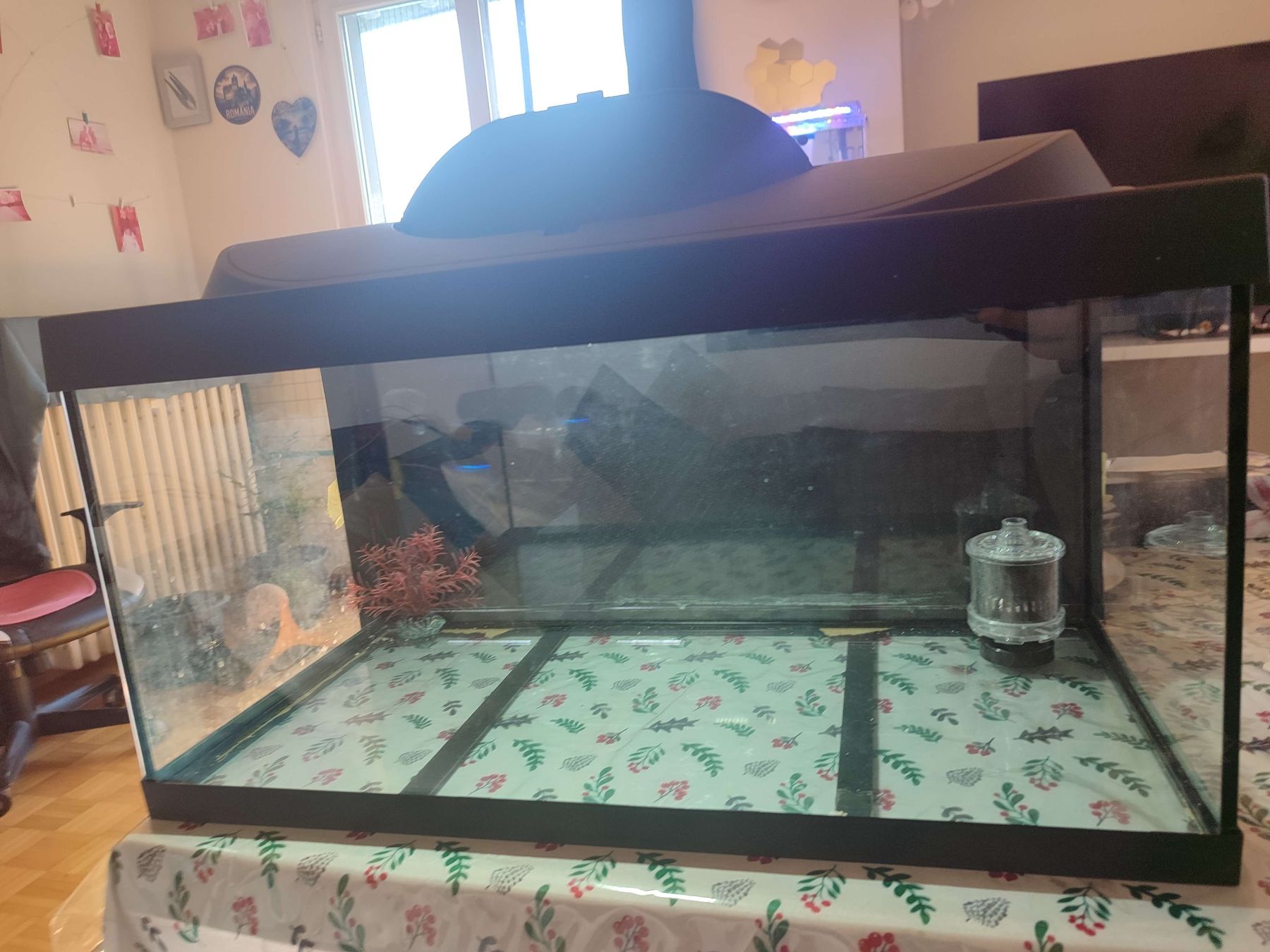 Acquari: Aquarium mit Filter und Dekoration – Usato da Frauenfeld venduto da crh_v2vh