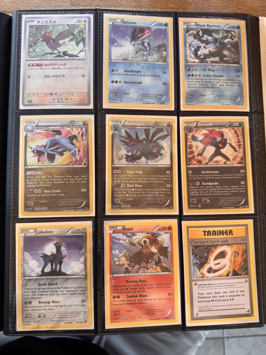 Pokémon Carte collezionabili: Pokemon Sammlung mit Ordner – Usato da Belp venduto da Leoloulou1 8