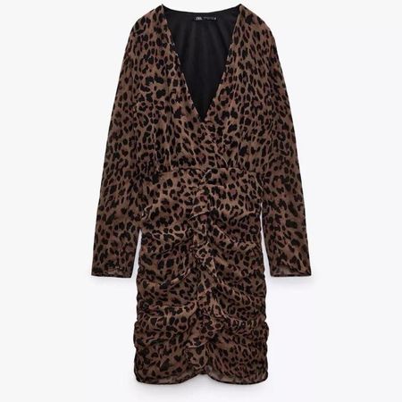 Zara Animal Print Dress, Long Sleeve, Ruched