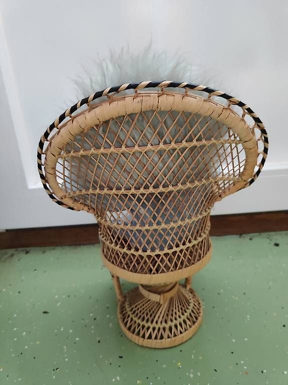Statuette: Clown auf Stuhl – Usato da Dürnten venduto da dan_g5zw 1