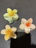 Haarklammern, verschiedene Farben, Blumen, wie neu!