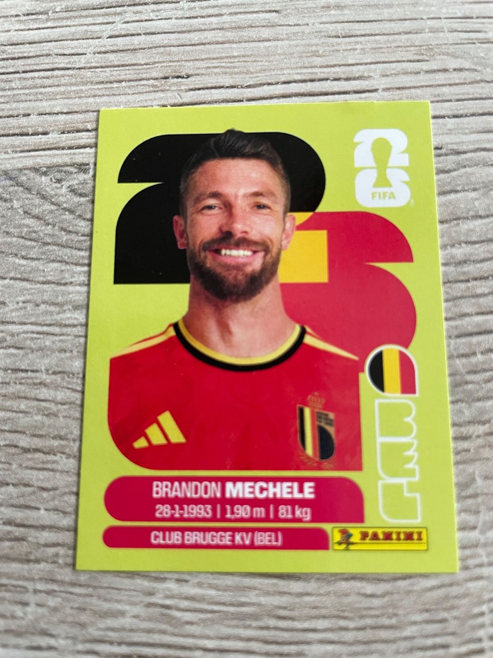 Panini Carte collezionabili: Panini Sticker - Brandon Mechele – Usato da Neftenbach venduto da Justine76