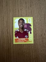 Panini FIFA World Cup 2026, QAT 11