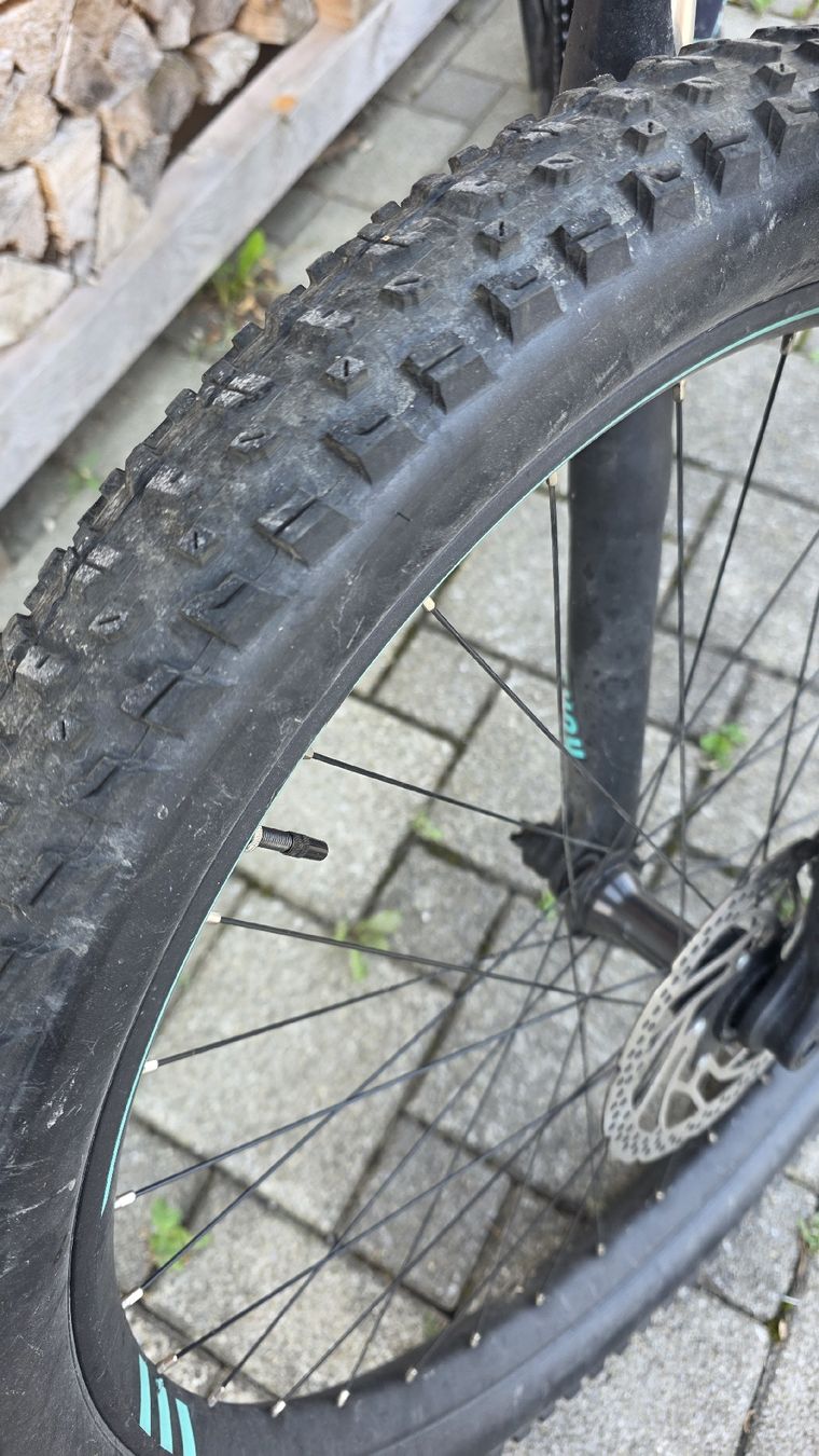 Scott Velos: Scott Contessa Genius 730 S – Gebraucht aus Weissbad von pat_mp8c 2
