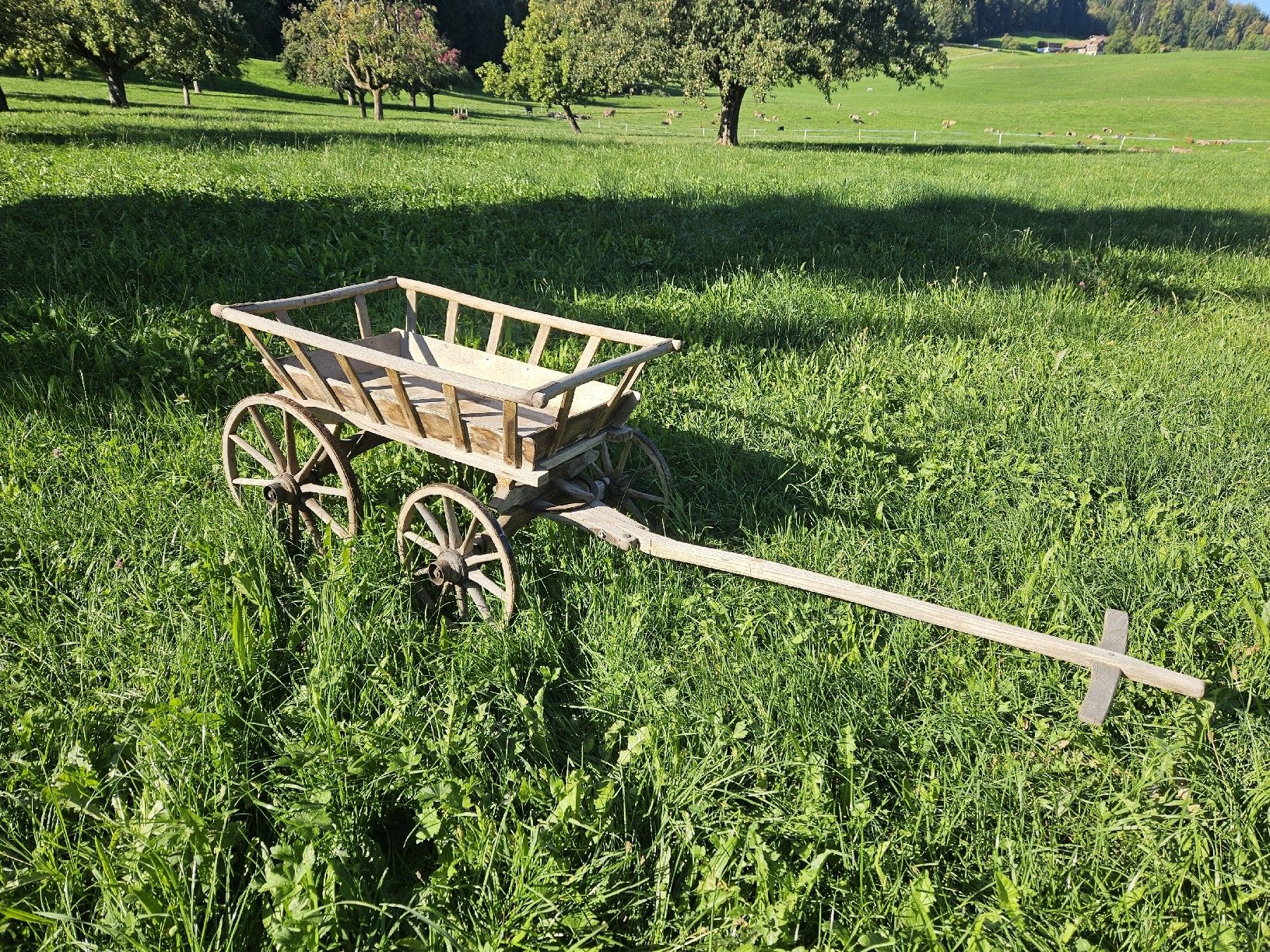 Accessori per altri veicoli: Leiterwagen Antik – Usato da Dietschwil venduto da cgmuerr66