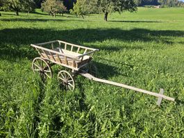Leiterwagen Antik