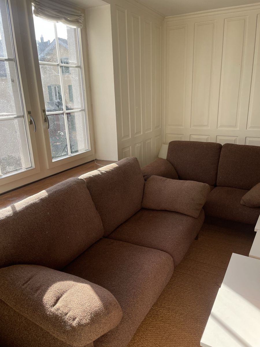 Divani: Braunes Sofa Grattis – Usato da Zürich venduto da anncrua