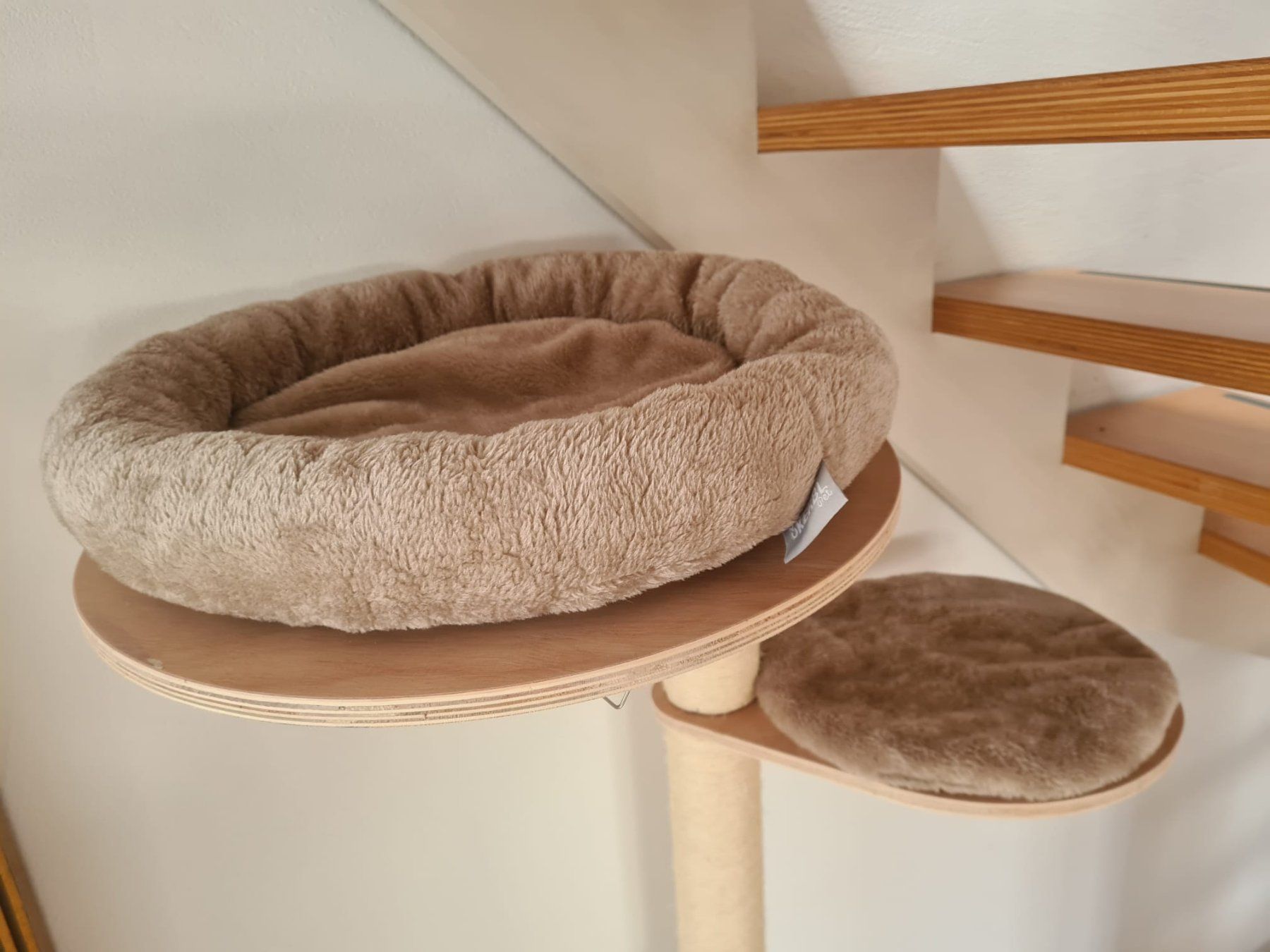 Katzenbaum - Kratzbaum: Wandkratzbaum / Katzenbaum mit diversen Liegeflächen – Gebraucht aus Niederhasli von Eisrose 3