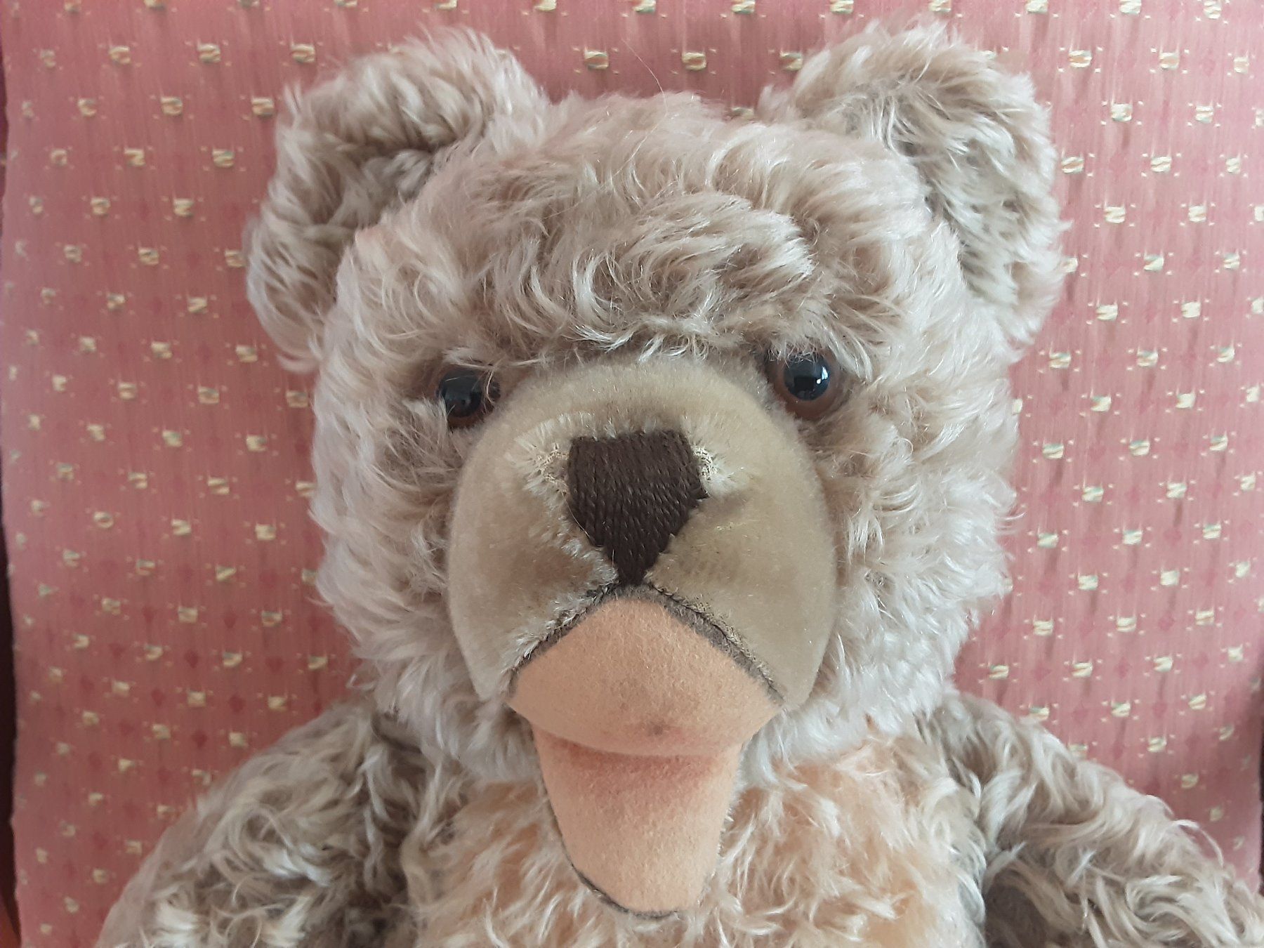 Giocattoli: STEIFF Zotty Teddybär – Usato da St. Gallen venduto da charly92 1