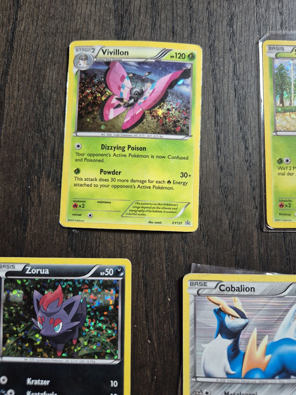 Pokémon Carte collezionabili: Pokemon - holos - promo - black&white – Usato da Subingen venduto da mattkum 1