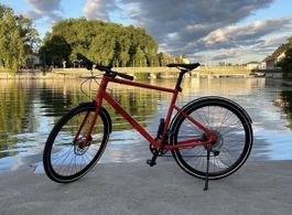 BMC Alpenchallenge Gr. L