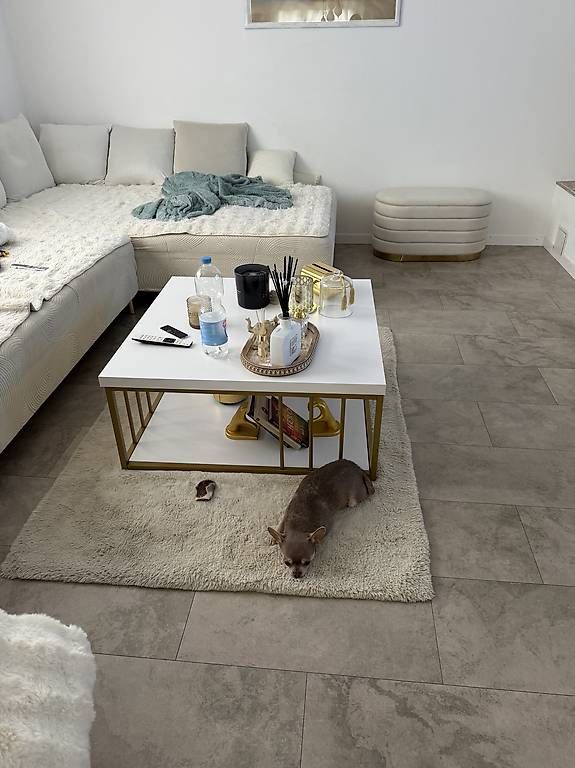 Tavoli: couchtisch weiss gold  – Usato da Adligenswil venduto da balboa5