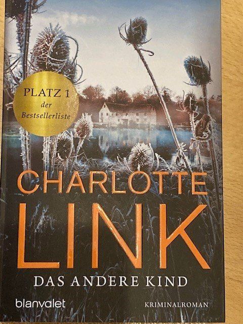 Libri: Charlotte Link - Das andere Kind – Usato da Ins venduto da annsophie01