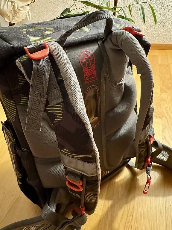 Borse & Zaini: Step by Step Schulrucksack – Usato da Aeschi SO venduto da WHYpayMORE 1