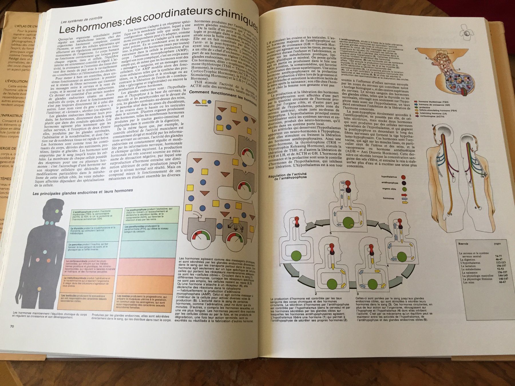 Libri: Atlas du corps humain  Edition 1991 – Usato da Genève venduto da Donnet2 2