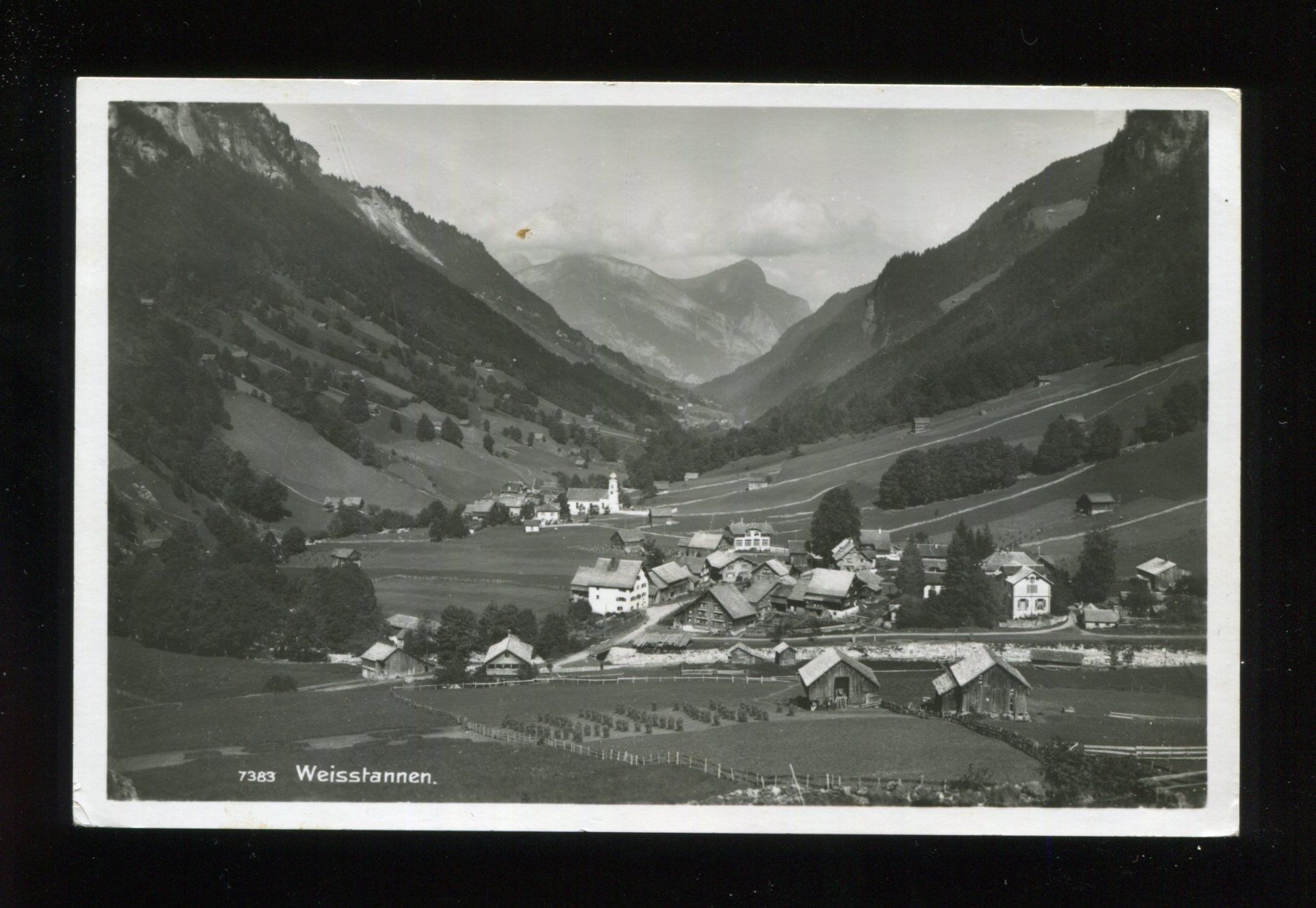 Cartoline postali: Weisstannen – Usato da Aarau venduto da Elmaar41